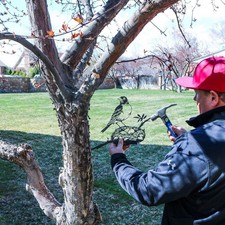 Kreative Schmiedeeiserne