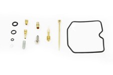 Vergaser Reparatur Satz