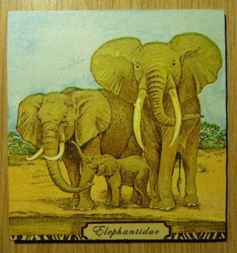 Deko hdf tiere elefant - tiere,
