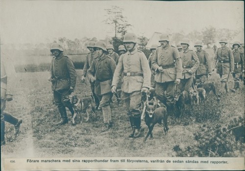 Foto deutsche soldaten wk - deutsche,