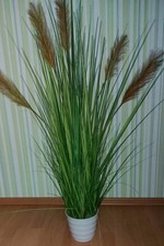 XL Kunstgras Palmengras Kunstpflanze Pampas Gras Höhe 120 Grasarrangement Deko  