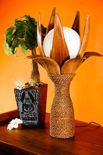 Holz lampe stehlampe kokosnuss - holz,
