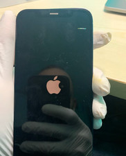 iPhone 12 Pro Display Defekt mit originalem Chip