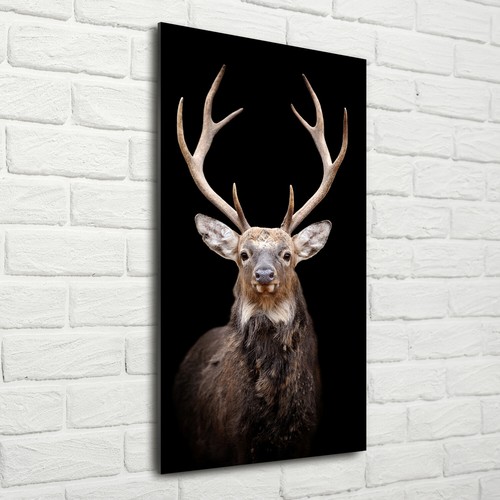 Wand bild kunstdruck aus - wand-bild,