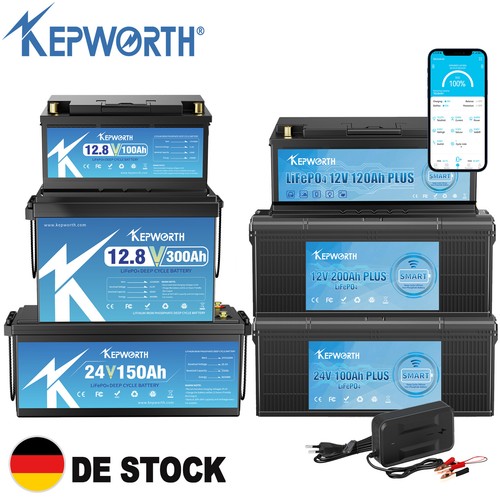 12v 24v 36v 48v - 24v, 120ah