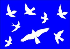 Vogel Aufkleber 8 Stück