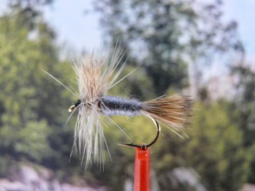 Trockenfliege grey wulff - ",
