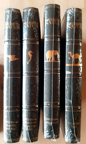 Konvolut brockhaus faszination - brockhaus,
