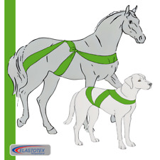 Elastotex Körperband Applegreen