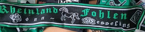 Borussia mönchengladbach fan - mönchengladbach,