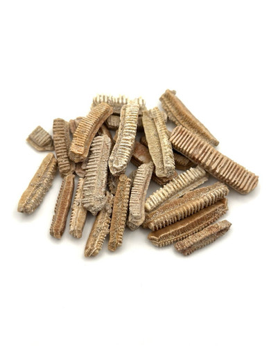 25g versteinerte - 25g,