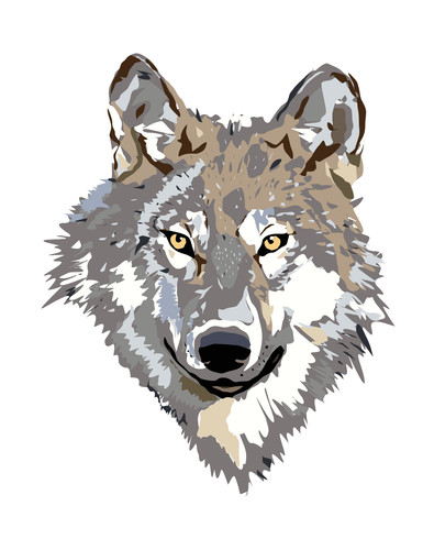 Autoaufkleber sticker wolf - sticker,