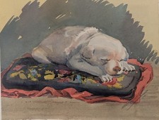 Schlafender Welpe, Aquarell