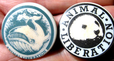 Animal liberation whale seal - &,