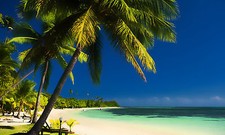 POSTER XXL POP ART STRAND PALMEN MEER SAND ABSTRAKT BUNT DEKO SW BIS 150x90