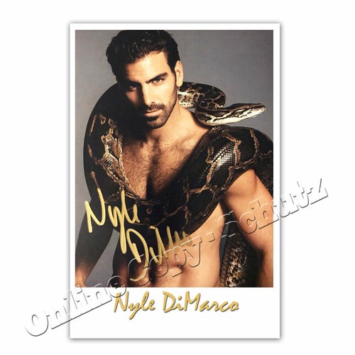 Nyle dimarco sexy male - dimarco,