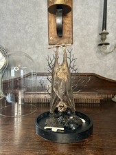 Neu!!! Flughund In Glaskuppel