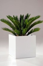 Blumenkübel Pflanzkübel