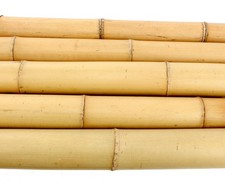 Moso Bambusrohr gelb gebleicht