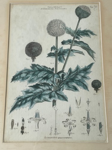 John miller 1715 1785 - miller, 1715-1785