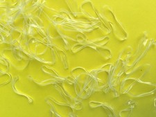 50x Durchsichtige Kleine Haargummis für Rastazöpfe Gummis elastische Haarbänder 