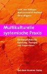Multikulturelle systemische