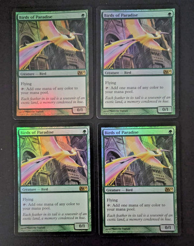 Magic birds paradise - 4x,