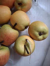 Deko apfel äpfel dekobst - apfel,