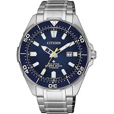 Citizen Promaster Land Silber