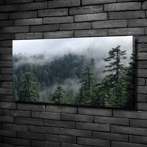 Leinwandbild kunst druck - leinwandbild, kunst-druck