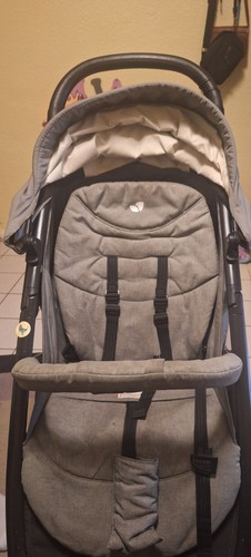 Buggy bis 25kg - buggy,
