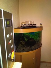 Aquarium 200 Liter mit Zubehör