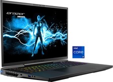 MEDION Gaming-Notebook ERAZER Beast X40 17Zoll 1TB SSD Core i9 RTX4080 B-WARE