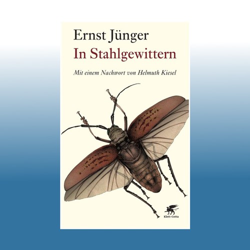 Stahlgewittern ernst - in,
