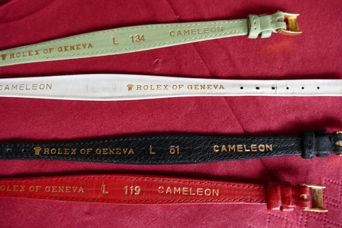 Rolex box armbänder - box+armbänder, cameleon