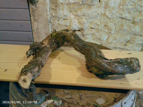 Weinstock herbstdeko holz - weinstock,