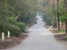 Foto 6x4 Heidefahrt Wick