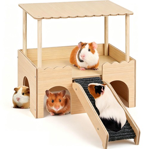 Meerschweinchen haus versteck - meerschweinchen, haus,