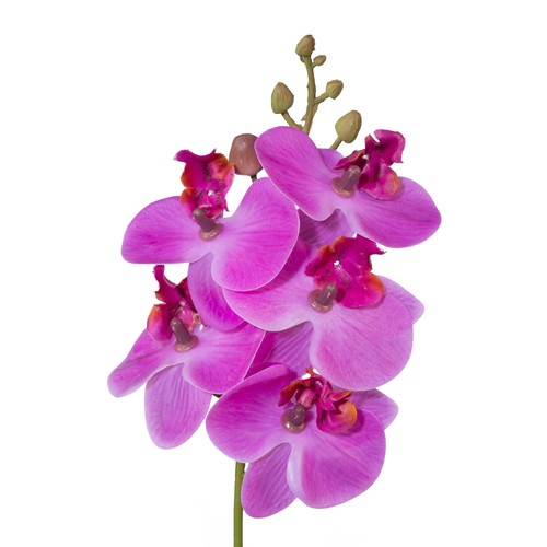 Kunstblume phalaenopsis - kunstblume,