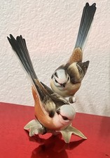 Fliegenschnäpper paar