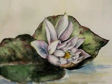 AQUARELL SEE ROSE INGE