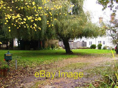 Foto 6x4 taube coo - foto,