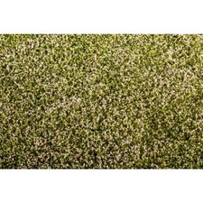 Fertige Grasmatte Blühender