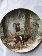 Kaiser Porzellan Sammelteller, UNSER WILD, limitierte Auflage, 24cm Durchmesser