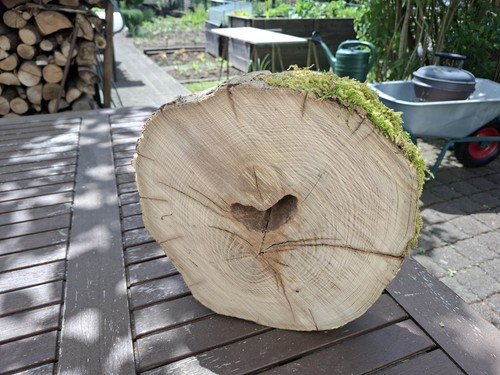 Deko baumscheibe trocken - baumscheibe,