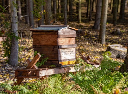 Beutenbock holztisch für - holztisch,