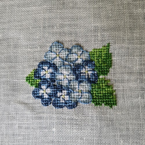 Hortensienblüte blau