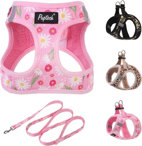 Hundegeschirr leinen set - hundegeschirr, leinen-set