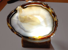 Achatscheibe + Achat-Ständer Stein, Brauntöne,geschliffen+poliert (Text), Indien