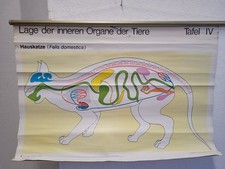 Rollkarte/Wandtafel